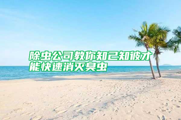 除蟲(chóng)公司教你知己知彼才能快速消滅臭蟲(chóng)