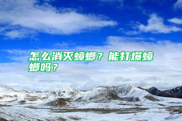 怎么消滅蟑螂？能打爆蟑螂嗎？