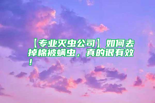 【專業滅蟲公司】如何去掉棉被螨蟲，真的很有效！
