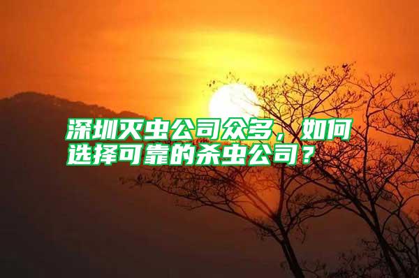 深圳滅蟲公司眾多，如何選擇可靠的殺蟲公司？