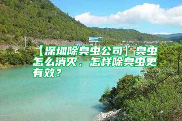 【深圳除臭蟲公司】臭蟲怎么消滅，怎樣除臭蟲更有效？