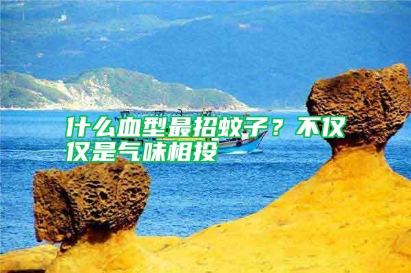 什么血型最招蚊子？不僅僅是氣味相投