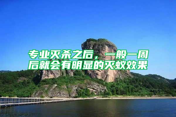 專業(yè)滅殺之后，一般一周后就會有明顯的滅蟻效果