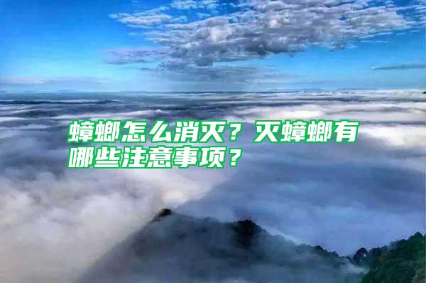蟑螂怎么消滅？滅蟑螂有哪些注意事項？