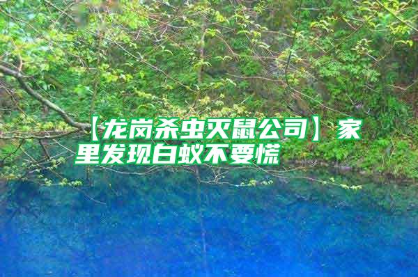 【龍崗殺蟲滅鼠公司】家里發(fā)現白蟻不要慌