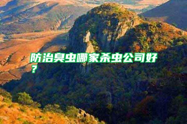 防治臭蟲哪家殺蟲公司好？