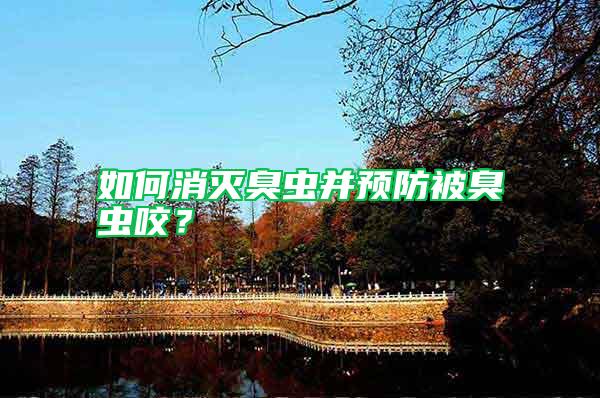 如何消滅臭蟲并預防被臭蟲咬？