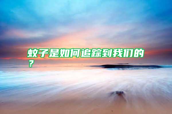 蚊子是如何追蹤到我們的？