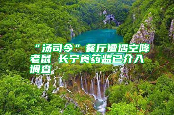 “湯司令”餐廳遭遇空降老鼠 長寧食藥監(jiān)已介入調查