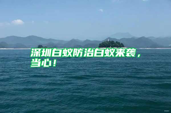 深圳白蟻防治白蟻來襲，當(dāng)心！