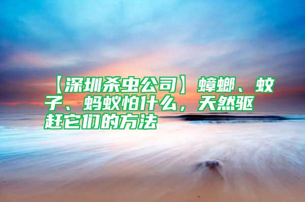 【深圳殺蟲公司】蟑螂、蚊子、螞蟻怕什么，天然驅(qū)趕它們的方法