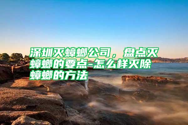 深圳滅蟑螂公司，盤點滅蟑螂的要點-怎么樣滅除蟑螂的方法