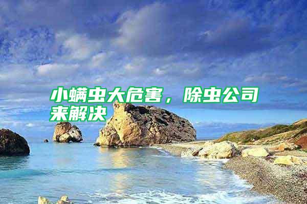 小螨蟲(chóng)大危害，除蟲(chóng)公司來(lái)解決