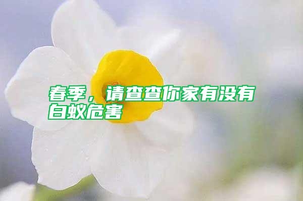 春季，請(qǐng)查查你家有沒(méi)有白蟻危害