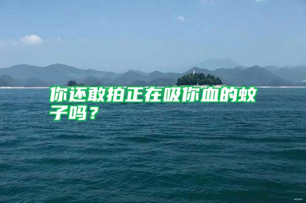 你還敢拍正在吸你血的蚊子嗎？
