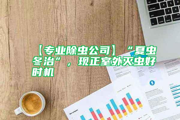 【專業(yè)除蟲公司】“夏蟲冬治”，現(xiàn)正室外滅蟲好時(shí)機(jī)