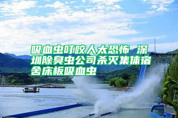 吸血蟲(chóng)叮咬人太恐怖 深圳除臭蟲(chóng)公司殺滅集體宿舍床板吸血蟲(chóng)