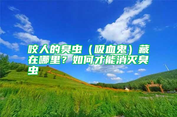 咬人的臭蟲（吸血鬼）藏在哪里？如何才能消滅臭蟲