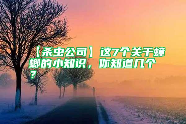 【殺蟲公司】這7個關(guān)于蟑螂的小知識，你知道幾個？