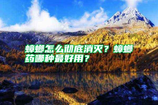 蟑螂怎么徹底消滅？蟑螂藥哪種最好用？