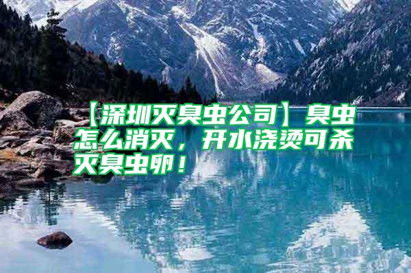 【深圳滅臭蟲公司】臭蟲怎么消滅，開水澆燙可殺滅臭蟲卵！