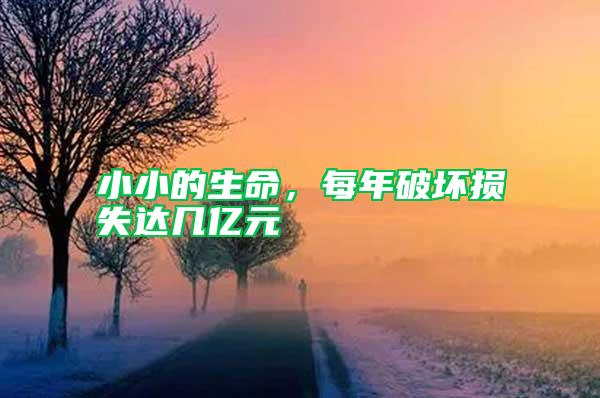 小小的生命，每年破壞損失達幾億元