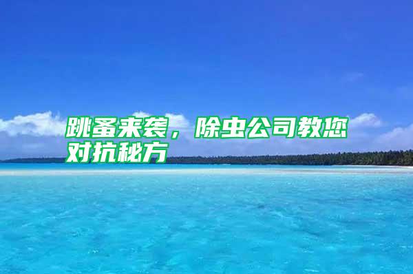 跳蚤來襲，除蟲公司教您對抗秘方