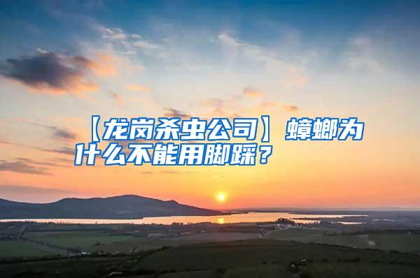 【龍崗殺蟲(chóng)公司】蟑螂為什么不能用腳踩？