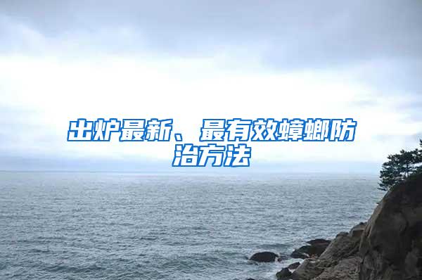 出爐最新、最有效蟑螂防治方法