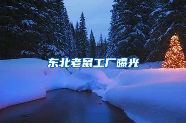 東北老鼠工廠(chǎng)曝光