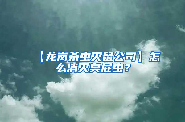 【龍崗殺蟲(chóng)滅鼠公司】怎么消滅臭屁蟲(chóng)？