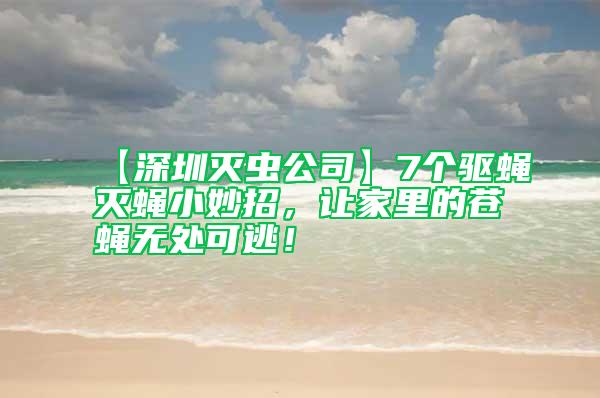 【深圳滅蟲公司】7個驅蠅滅蠅小妙招，讓家里的蒼蠅無處可逃！
