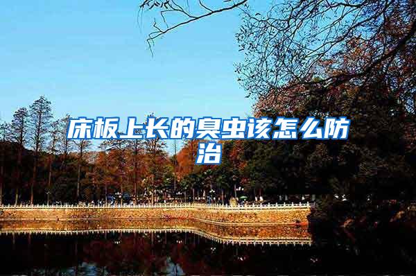 床板上長(zhǎng)的臭蟲(chóng)該怎么防治
