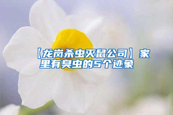 【龍崗殺蟲(chóng)滅鼠公司】家里有臭蟲(chóng)的5個(gè)跡象