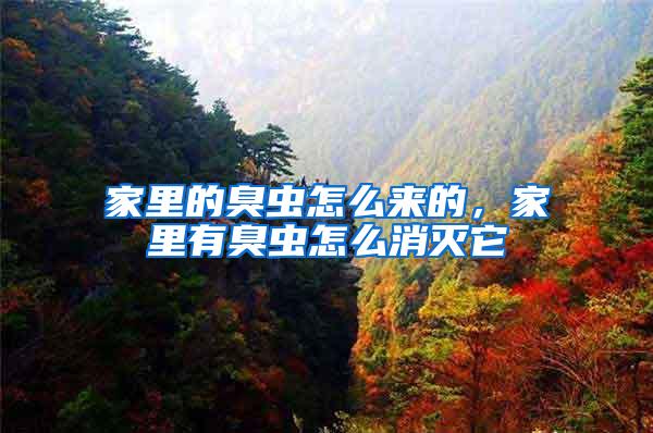 家里的臭蟲怎么來的，家里有臭蟲怎么消滅它