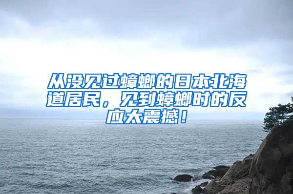 從沒見過蟑螂的日本北海道居民，見到蟑螂時(shí)的反應(yīng)太震撼！