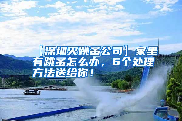 【深圳滅跳蚤公司】家里有跳蚤怎么辦，6個處理方法送給你！