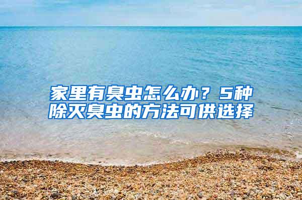 家里有臭蟲怎么辦？5種除滅臭蟲的方法可供選擇