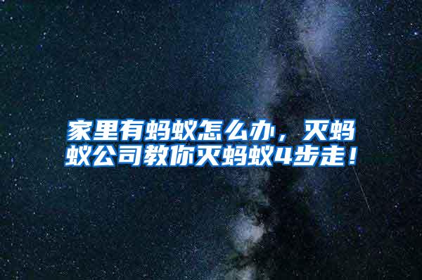家里有螞蟻怎么辦，滅螞蟻公司教你滅螞蟻4步走！
