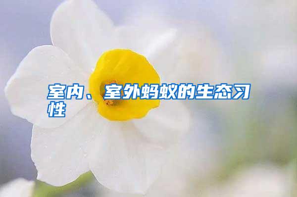 室內(nèi)、室外螞蟻的生態(tài)習(xí)性