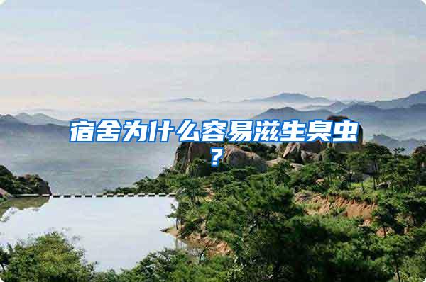 宿舍為什么容易滋生臭蟲？