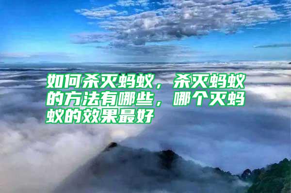 如何殺滅螞蟻，殺滅螞蟻的方法有哪些，哪個滅螞蟻的效果最好