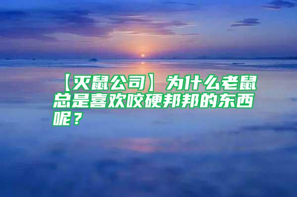 【滅鼠公司】為什么老鼠總是喜歡咬硬邦邦的東西呢？