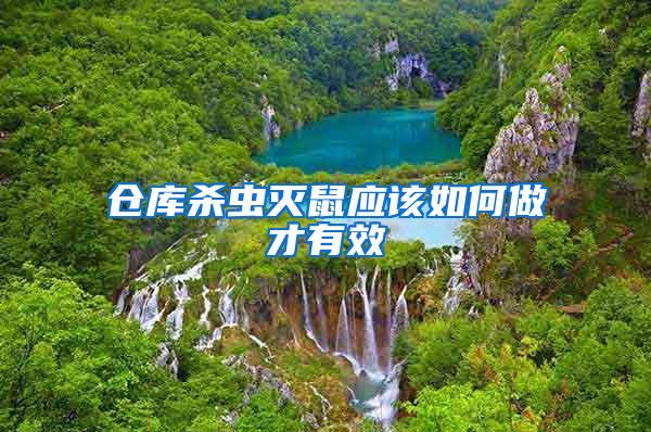 倉(cāng)庫(kù)殺蟲滅鼠應(yīng)該如何做才有效