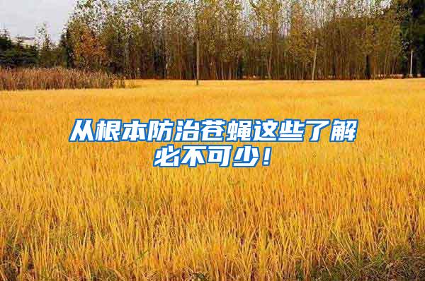 從根本防治蒼蠅這些了解必不可少！