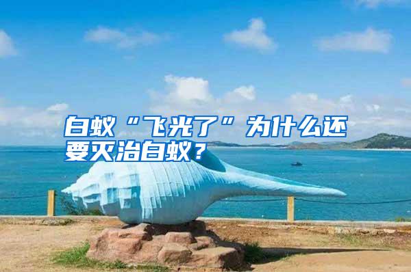 白蟻“飛光了”為什么還要滅治白蟻？