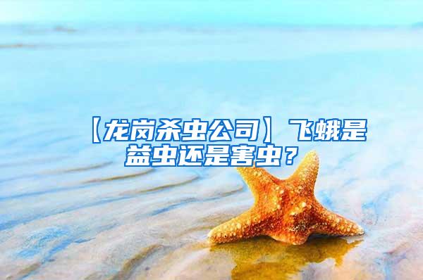 【龍崗殺蟲公司】飛蛾是益蟲還是害蟲？