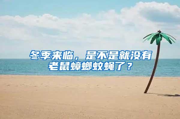 冬季來臨，是不是就沒有老鼠蟑螂蚊蠅了？
