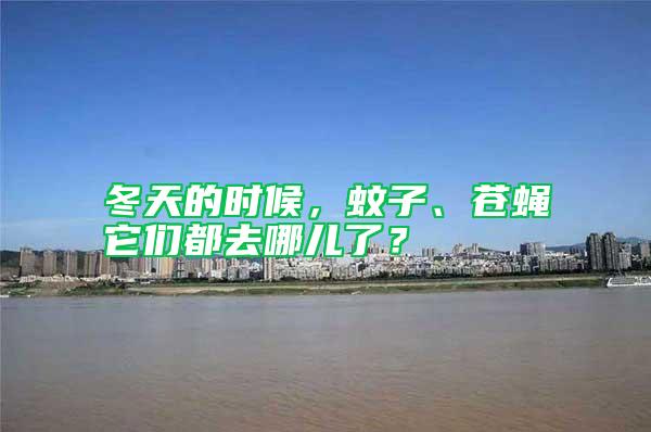 冬天的時候，蚊子、蒼蠅它們都去哪兒了？