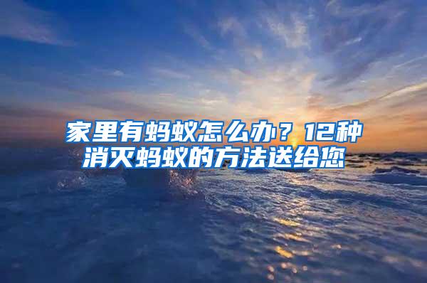 家里有螞蟻怎么辦？12種消滅螞蟻的方法送給您